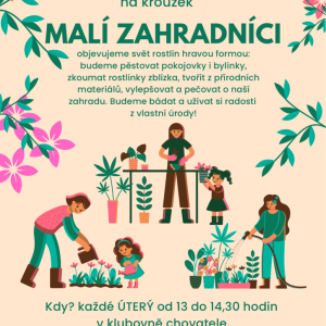 DDM Rokycany zve děti od 6 let.png