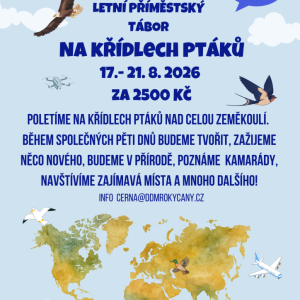 Na křídlech ptáků